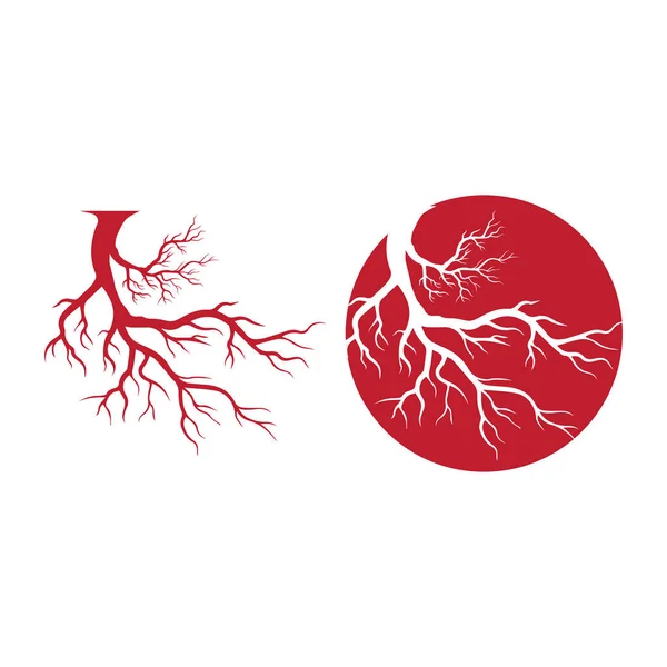 İnsan damarları, kırmızı kan damarları tasarım ve arterler Vektör çizimi izole edildi