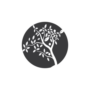 Ağaç Vektörü, el çizimi, zeytin ağacı tasarım şablonu çizimi