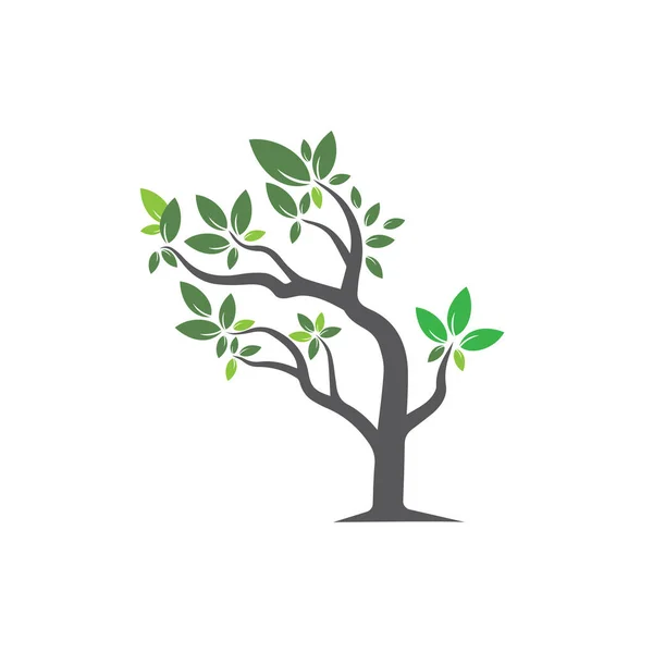 Baumvektor Handgezeichnet Illustration Der Vorlage Für Den Vektorentwurf Für Olivenbäume — Stockvektor