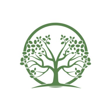 Ağaç Vektörü, el çizimi, zeytin ağacı tasarım şablonu çizimi