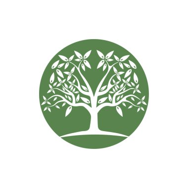 Ağaç Vektörü, el çizimi, zeytin ağacı tasarım şablonu çizimi