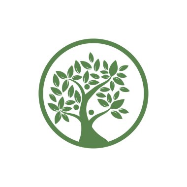 Ağaç Vektörü, el çizimi, zeytin ağacı tasarım şablonu çizimi