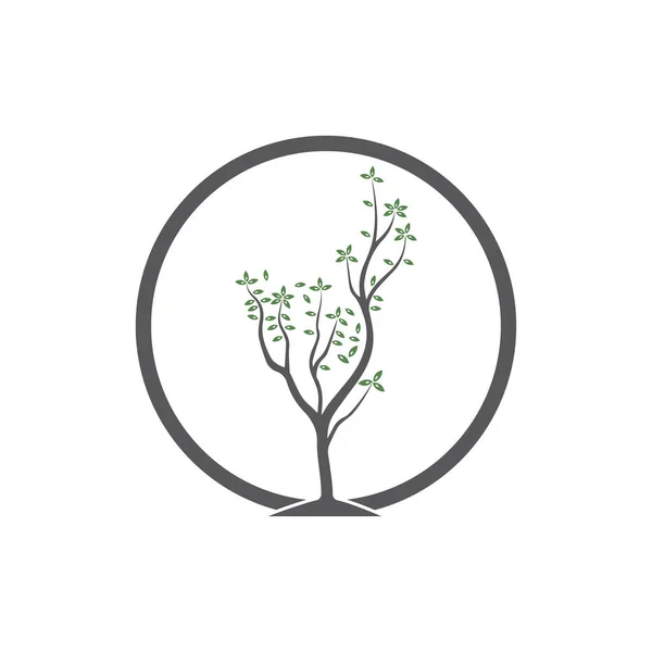 Διάνυσμα Δέντρου Ζωγραφισμένο Στο Χέρι Απεικόνιση Του Προτύπου Σχεδίασης Φορέα — Διανυσματικό Αρχείο