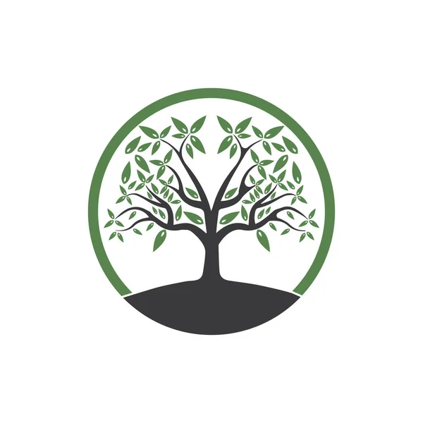 Дерево Вектор Намальовано Вручну Ілюстрація Шаблону Векторного Дизайну Оливкового Дерева — стоковий вектор
