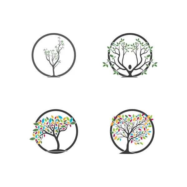 Träd Vektor Handritad Illustration Olivträd Vektor Design Mall — Stock vektor
