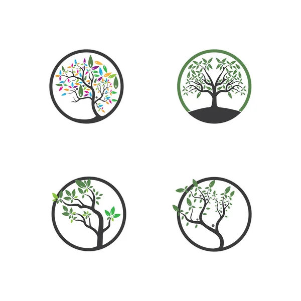 Träd Vektor Handritad Illustration Olivträd Vektor Design Mall — Stock vektor