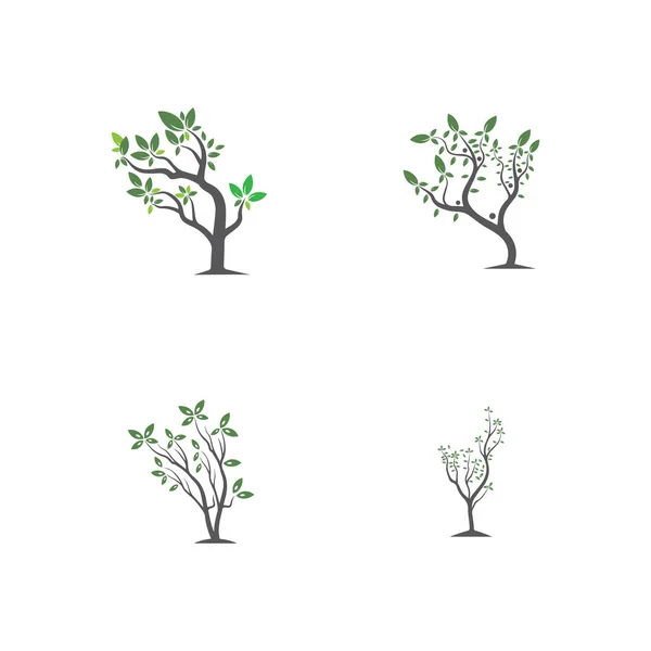 Tree Vector Hand Drawn Illustration Olive Tree Vector Design Template — Stock Vector