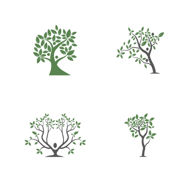 木ベクトル 手描き オリーブの木ベクトルデザインテンプレートのイラスト — ストックベクタ