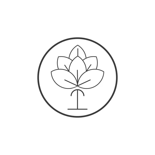 Красота Хлопок Цветочный Вектор Простая Икона Хлопок Цветок Шаблон Символ — стоковый вектор