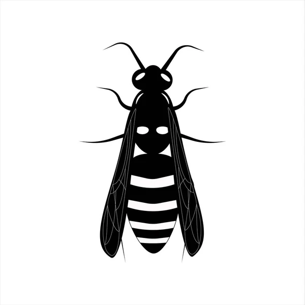 Flying wasp. Honey bee. Botany illustration. Insect animal, exotic. Vector isolated on white backdrop. — Stock Vector