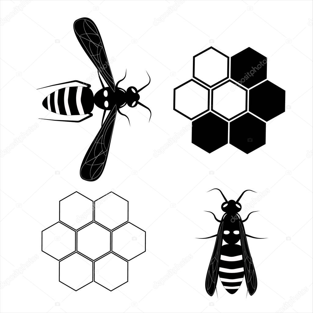 Flying wasp. Honey bee. Botany illustration. Insect animal, exotic. Vector isolated on white backdrop. Honeycomb.