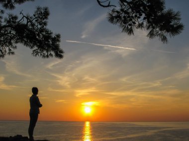 Bir adamın silueti ve arka plandaki çam dalları 