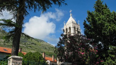Praskvica Manastırı Kilisesi, çamlar, dağlar, Karadağ