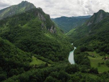 Karadağ 'ın Djurdzhevich köprüsünden Tara nehrinin kanyonu manzarası