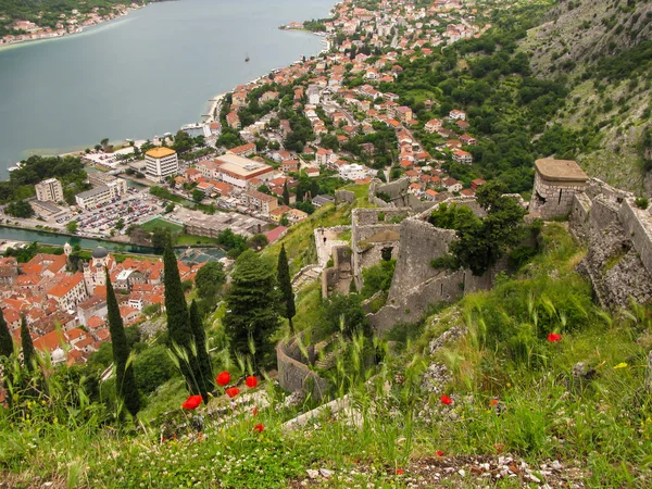 Murallas de Castillo de San Giovanni en la ciudad de Kotor — Foto de Stock