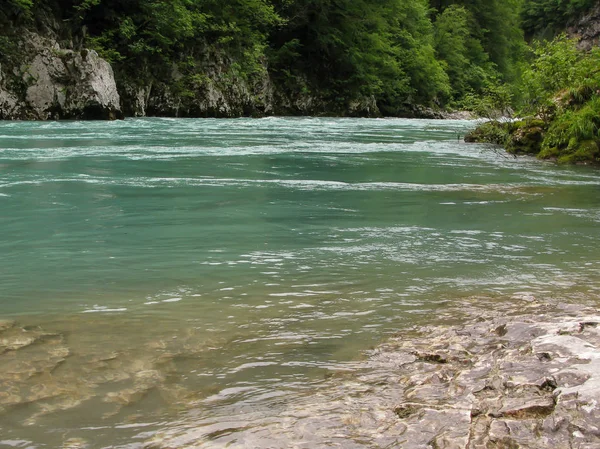 Tara folyó canyon, Montenegró — Stock Fotó