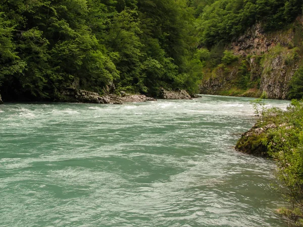Tara folyó canyon, Montenegró — Stock Fotó