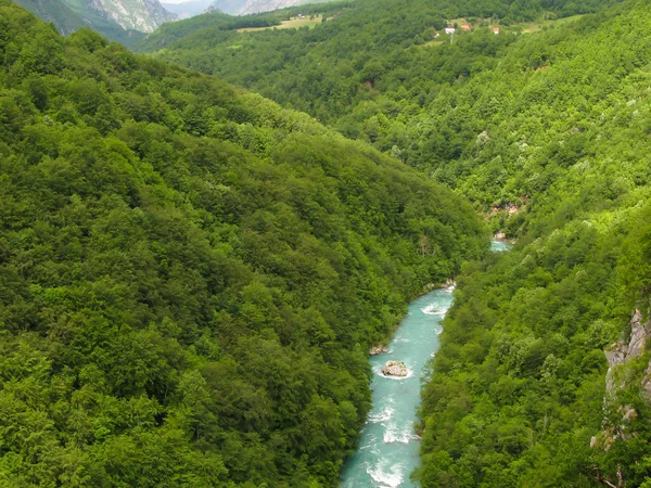 Kilátás a Tara folyó kanyonjára a montenegrói Djurdzhevich hídról — Stock Fotó