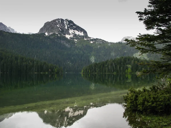 Durmitor hegyek tükröződés a tükör víz Crno Jezero, Durmitor nemzeti park, Zabljak, Montenegró — Stock Fotó