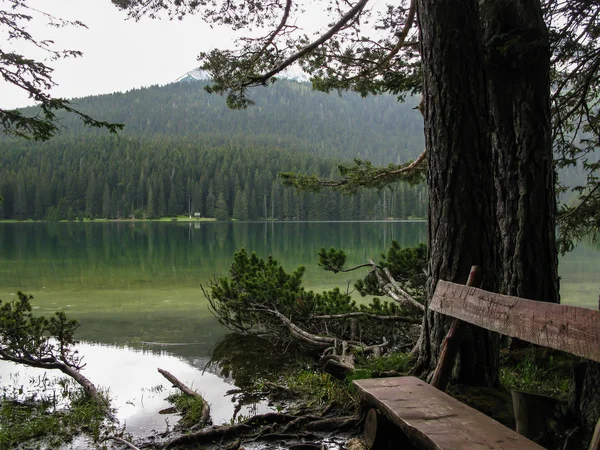 Durmitor hegyek tükröződés a tükör víz Crno Jezero, Durmitor nemzeti park, Zabljak, Montenegró — Stock Fotó