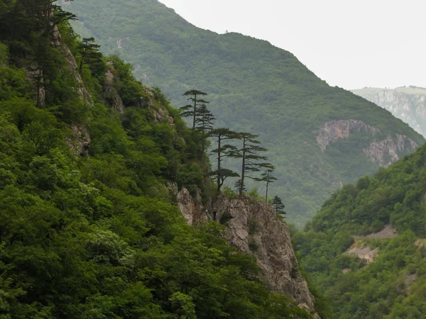 Kilátás a Piva folyó kanyonjára a montenegrói erőmű gátjáról — Stock Fotó