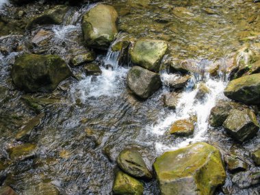 Dağ nehri ve kayalar, yaz, güneşli gün, Karpatlar