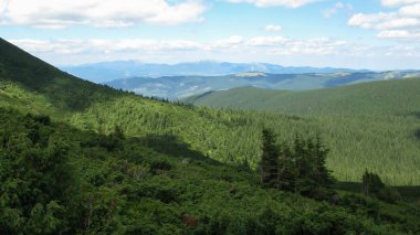 Karpatlar 'ın güneşli bir yaz gününde, Karpatlar, Karpatlar ve Ukrayna' nın zirvesinden...