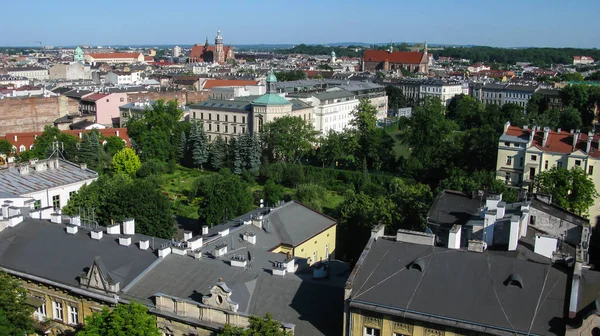 Vue sur le château royal de Wawel, la rivière Wisla et vue panoramique sur la ville depuis le sommet de la tour Sandomierska, Cracovie — Photo
