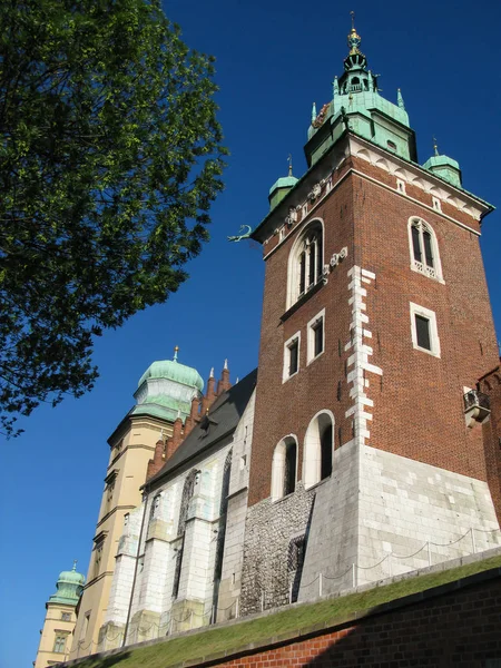 Вавельский королевский собор Святого Станислава Б. М. и Святого Вацлава — стоковое фото