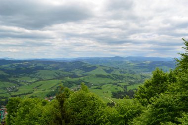 Güneşli bir yaz gününde Karpat Dağları manzarası, Karpatlar, Ukrayna