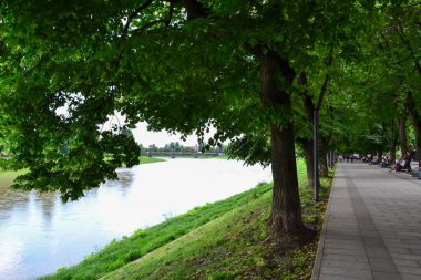 Nehir ve toprak, mavi gökyüzü, beyaz bulutlar, ıhlamur ağaçları, Uzhhorod, Ukrayna