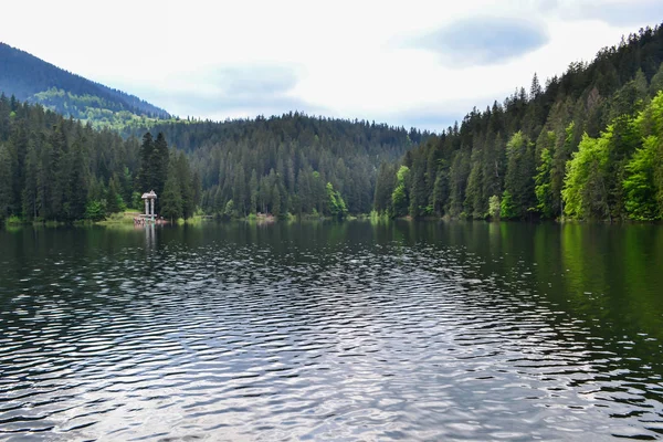 Panorámás Kilátás Nyílik Tóra Környező Erdőkre Szinnevir Ukrajna — Stock Fotó