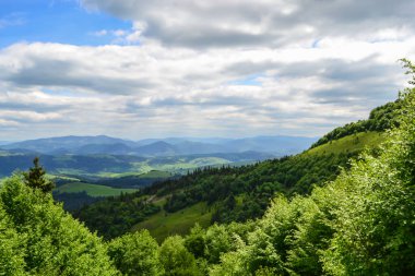 Güneşli bir yaz gününde Karpat Dağları manzarası, Karpatlar, Ukrayna