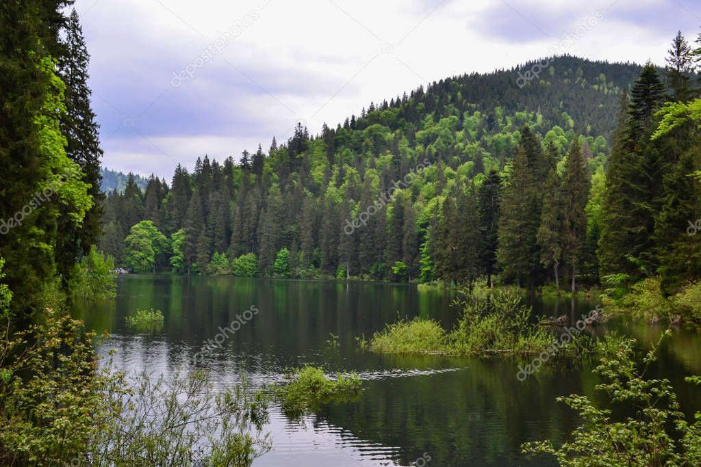 panoramic view of the lake and the forests around, Synevyr Lake, Ukraine