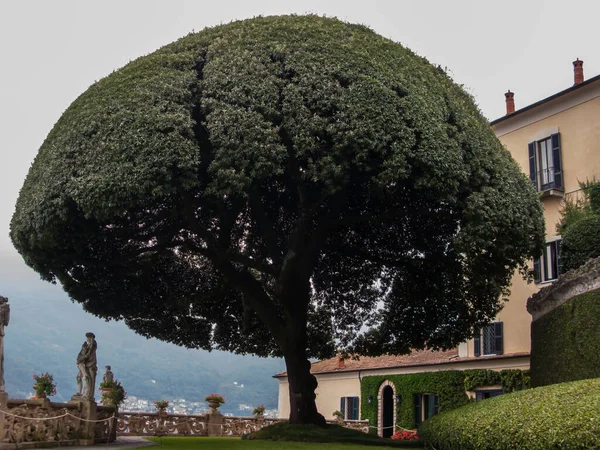 Chiesa San Fedele Como Lombardia Itálie — Stock fotografie