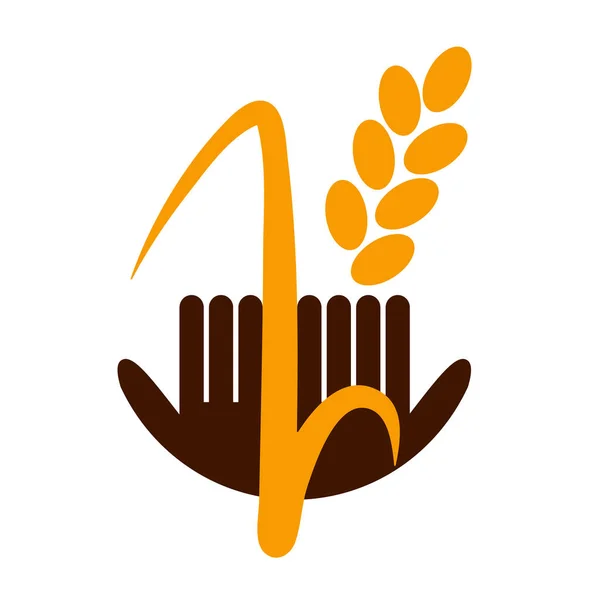 Logo Altın Buğday Eller Planı Organik Gıda Ekmek Tarımı Yaz — Stok Vektör