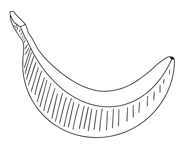 Imagem de vetor de contorno de banana isolada —  Vetores de Stock