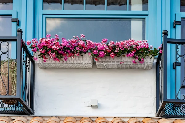 Casa italiana con marcos de ventana de madera azul y balcón con flores en maceta, geranios —  Fotos de Stock