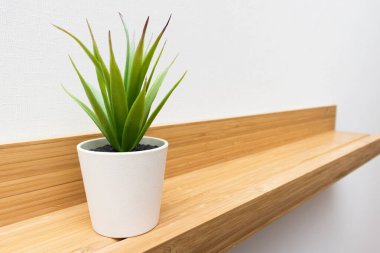 İskandinav ya da Amerikan odasının bir parçası. İçi ahşap bir rafta, fotokopi alanı olan bir saksı. Arkaplanda beyaz bir duvar.
