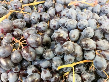 Taze ve tatlı kara masa üzümleri bir markette, süpermarkette