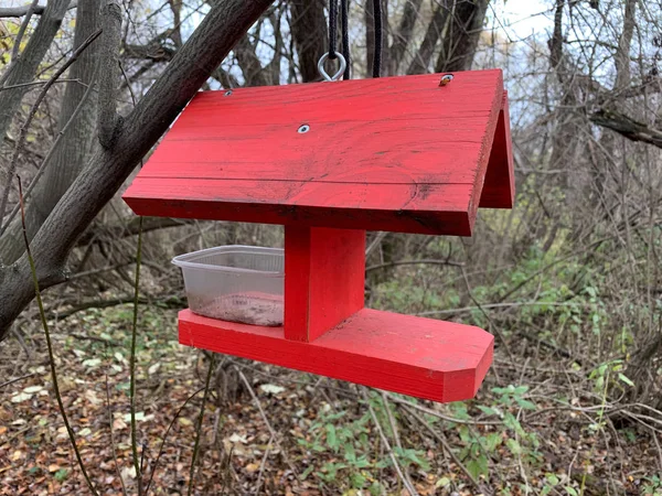 Red creative bird feeder made of wood hanging on the tree in a public park, save birds in winter