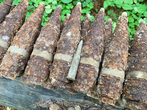 İkinci Dünya Savaşı 'nın birçok paslı mermisi bulundu. Metal dedektörle ormandan çıkarılmış.