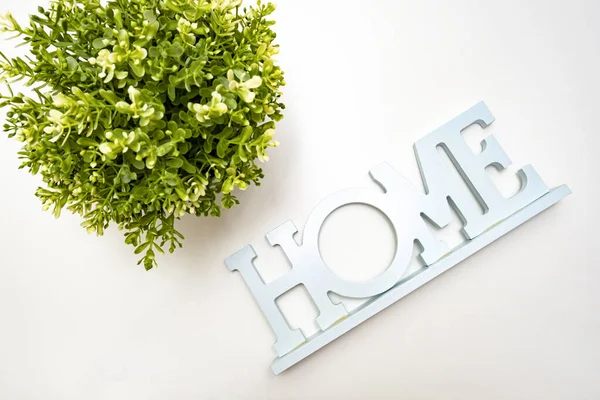 Pianta Verde Vaso Segno Casa Sfondo Bianco Concetto Casa Eco — Foto Stock
