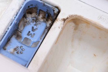 Kirli, küflü çamaşır makinesi deterjanı ve kumaş kremi kutusunun çekmecesini kapat. Küf, pas ve kireç rengi çamaşır makinesi tepsisi. Ev aletleri periyodik bakım kavramı.