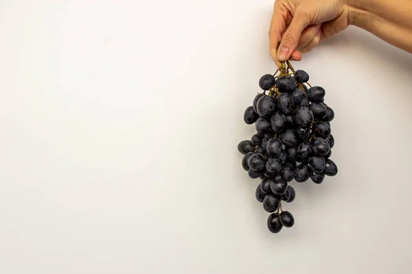 Main tenant un bouquet de raisins noir et blanc — Photo