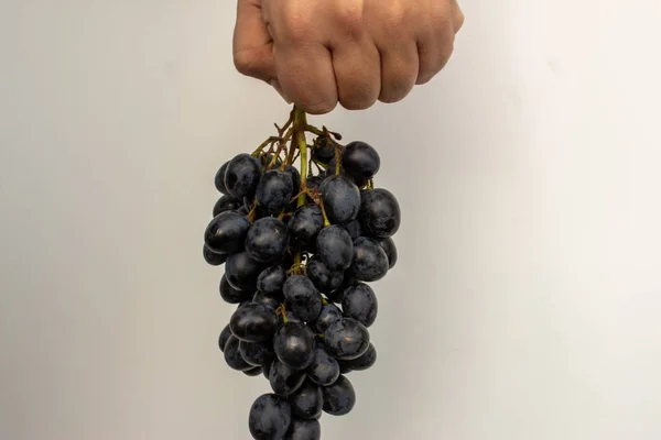 Hand holding a bunch of grapes black and white