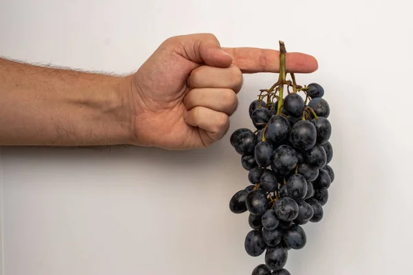 Hand holding a bunch of grapes black and white — Stock Photo, Image