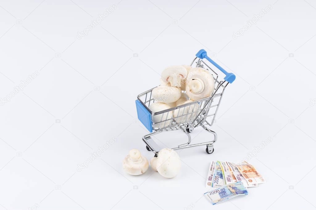 Shopping cart with champignons and moneys on white background