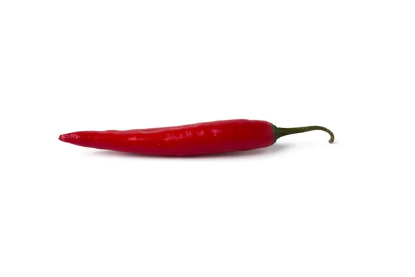 Chili Pepper White Isolated Background — Stock Photo, Image
