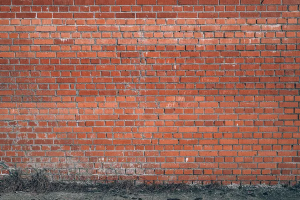 Textured brick wall on a sunny day